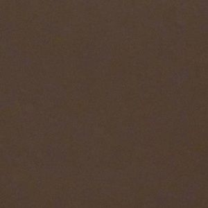 Meet your Posher, Reagon